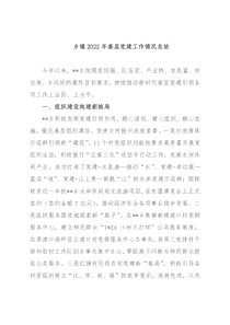 乡镇2022年基层党建工作情况总结