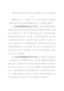 副县长履行安全生产责任和分管领域安全生产工作情况报告