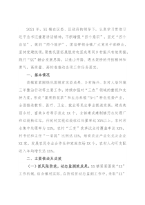 乡镇实施乡村振兴战略工作情况汇报