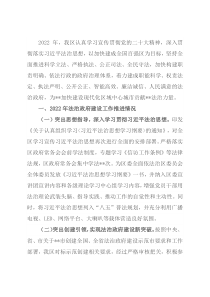 2022年某区法治政府建设工作情况报告