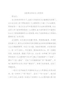 在县委全体会议上的讲话