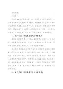 村支部书记2021年述职报告