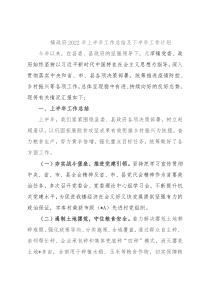 镇政府2022年上半年工作总结及下半年工作计划