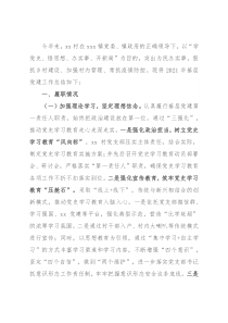 村党支部书记抓党建工作述职报告