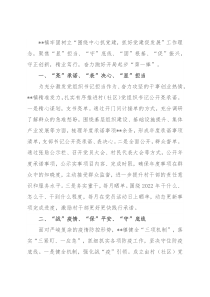 镇党建工作总结