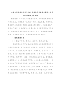 在县人民政府党组班子2022年深化作风建设专题民主生活会上的检视发言提纲