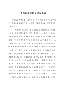 县政府班子换届政治素质自查报告