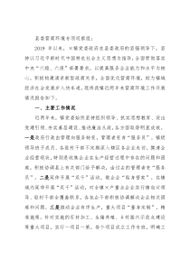 镇2019年以来营商环境工作情况的报告