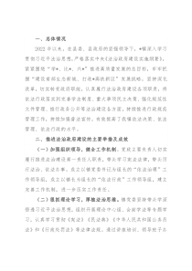 镇2022年度法治政府建设工作进展情况汇报