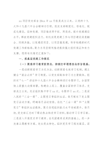 工程项目党支部2021年党建述职报告