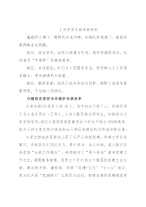 X先进党支部申报材料