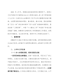 镇政府2022年重点工作汇报