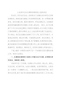 X县委书记在反腐败协调领导小组的讲话