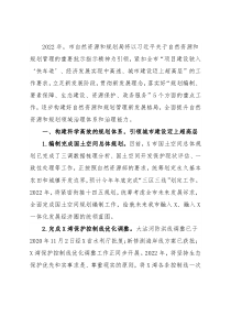 市自然资源和规划局2022年工作要点