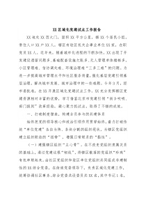 XX区域化党建试点工作报告