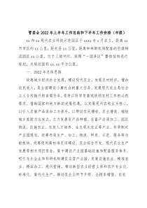 管委会2022年上半年工作总结和下半年工作安排（市级）