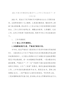 2021年度乡村建设综合服务中心上半年工作总结及下一步工作计划