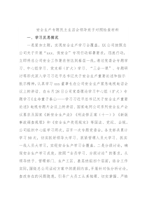 安全生产专题民主生活会领导班子对照检查材料