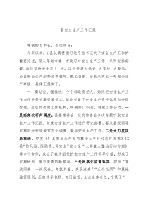 县长在全市安全生产调度会上的汇报