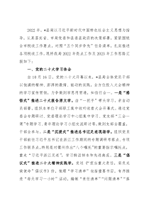 县税务局2022年工作总结及2023年工作思路