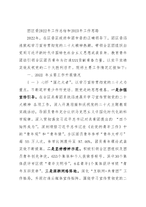 团区委2022年工作总结和2023年工作思路