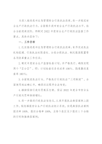 应急管理局2022年度安全生产行政执法监督工作要点