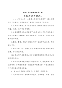 (5篇)项目工作心得体会范文汇集