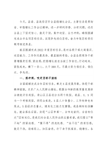 县委书记在全县稳增长工作会上的讲话