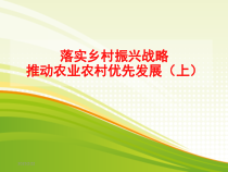 落实乡村振兴战略、推动农业农村优先发展