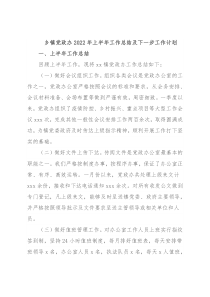 乡镇党政办2022年上半年工作总结及下一步工作计划