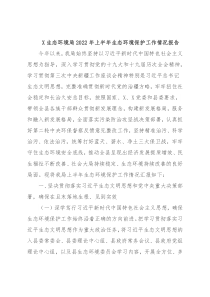 X生态环境局2022年上半年生态环境保护工作情况报告