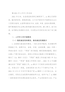镇2021年上半年工作总结
