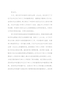 市委书记在市委审计委员会第一次会议上的讲话