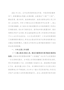 自然资源局长在年度经济会议上的发言提纲