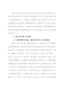 市审计局2022年以来工作总结和2023年工作计划