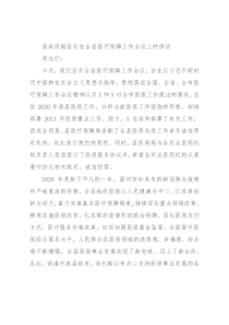 县政府副县长在全县医疗保障工作会议上的讲话