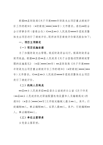 财政支出项目绩效评价报告