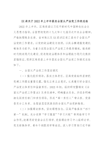 XX局关于2022年上半年落实全面从严治党工作的总结