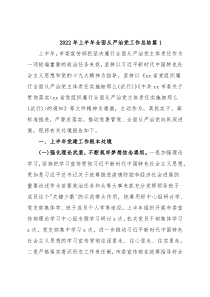 (2篇)2022年上半年全面从严治党工作总结