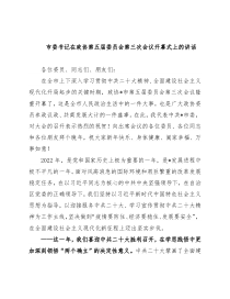 市委书记在政协第五届委员会第三次会议开幕式上的讲话