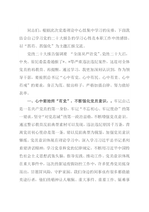 书记在中心组集中学习上的发言