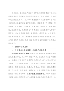 某镇关于2022年工作总结和2023年工作要点的报告