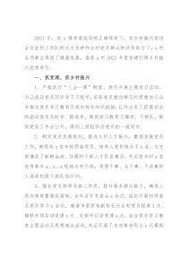 村党总支部2021年工作总结