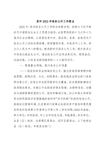 某市2022年政务公开工作要点