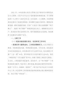 2022年局党委抓党建述职报告