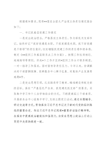 落实全面从严治党情况报告