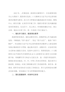 2022年乡镇政法书记（政法委员）述职述德述廉报告