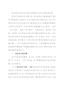 党支部班子党史学习教育专题组织生活会对照检查材料