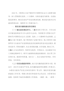 2022年度落实党风廉政建设责任制工作情况的报告