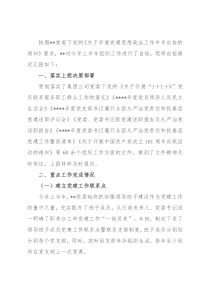 国有企业上半年组织工作自检情况报告